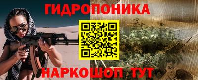 соль ск Можга