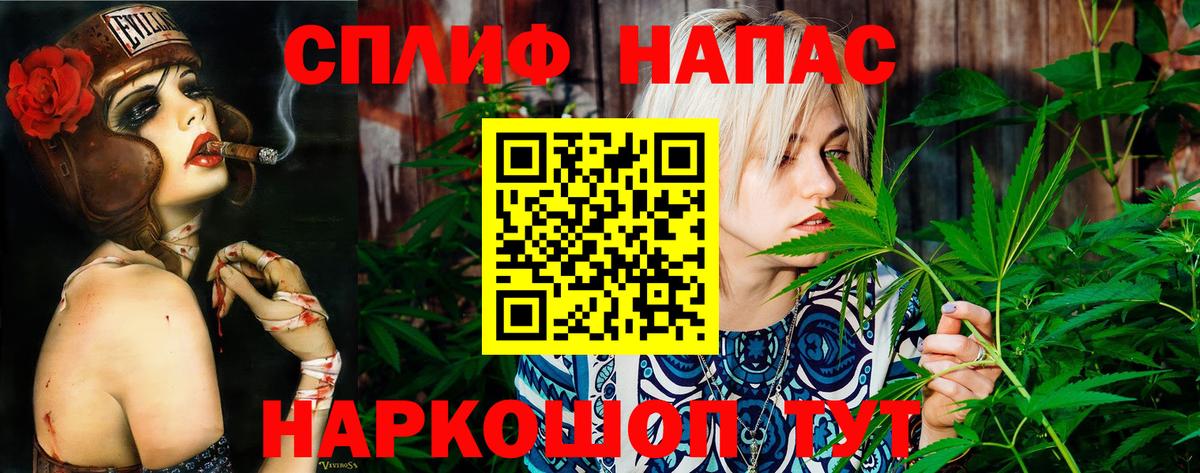 Каннабис OG Kush Сочи